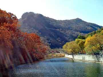 新澳天天开奖资料大全旅游团，松脂价格